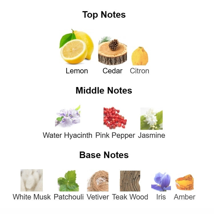 Chance Eau Fraiche Chanel 100ml