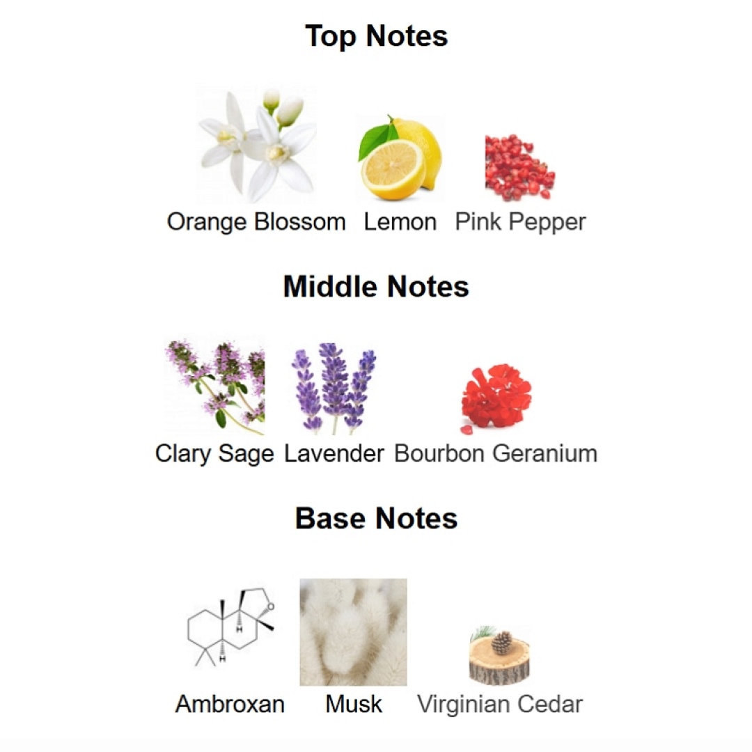 Versace Man Eau Fraiche Extreme Versace 100ml