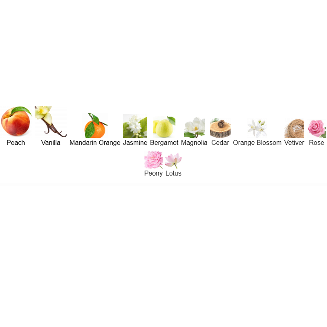 Allure Eau de Parfum Chanel 100ml