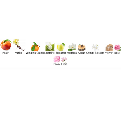 Allure Eau de Parfum Chanel 100ml